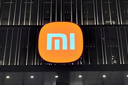 小米汽車上市首日退改訂單達469例 背后問題探析與武漢企業(yè)網(wǎng)站建設的啟示