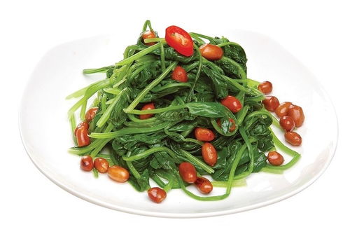廈門(mén)工廠團(tuán)膳配送與婚慶禮儀服務(wù) 欣泰德食堂的一站式解決方案